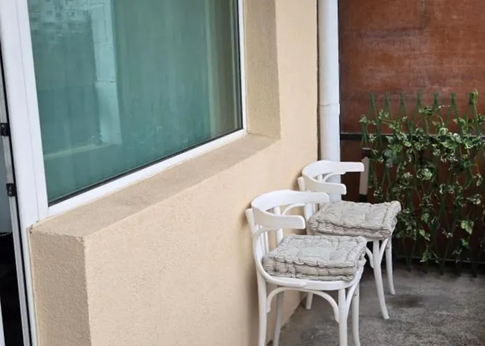 Zakky Cozy To The Center And International Fair