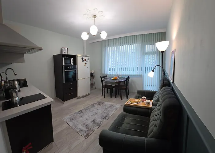 Zakky Cozy To The Center And International Fair 公寓 *