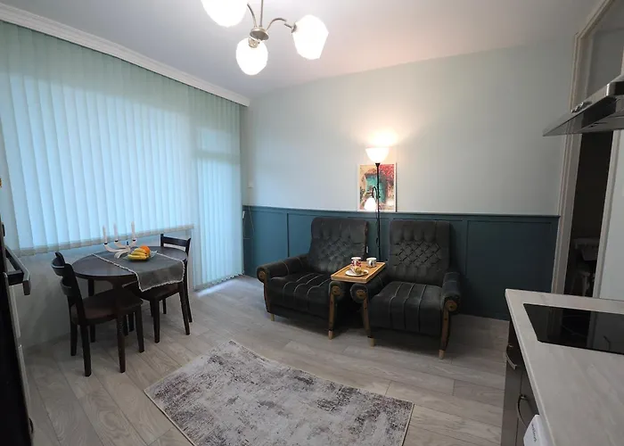 Zakky Cozy To The Center And International Fair